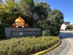 -上海崇明金茂凯悦酒店