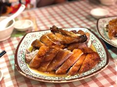 -聂记粤菜馆(鼓西路店)