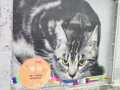 -方浜中路45弄小区