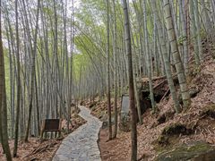 -黄山翡翠谷景区