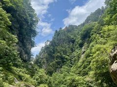 -青峰峡国家森林公园