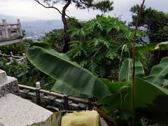 -鼎湖山风景区