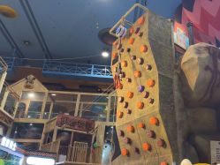 -卡通尼·Safari非洲探索乐园·生日会(金桥国际商业广场店)