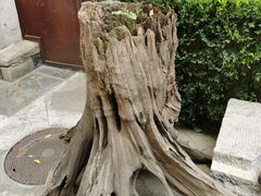 -嵩祝寺及智珠寺