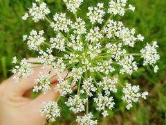 -安庆师范大学(龙山校区)