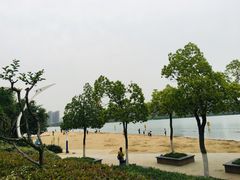 -天鹅湖体育公园