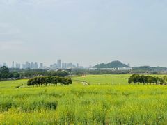 -光明小镇欢乐田园