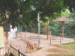 -福州动物园