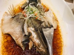 豉油浸鲈鱼-昆山金鹰尚美酒店·金鹰贵宾楼