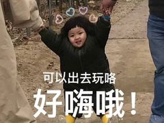 -甘家界牌柠檬鸭(青山店)