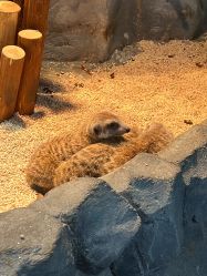 -Zoolung Zoolung动物主题公园(海信广场店)