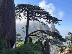 -黄山翡翠谷景区