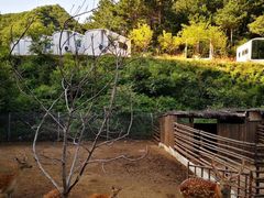 -北京山里寒舍度假酒店