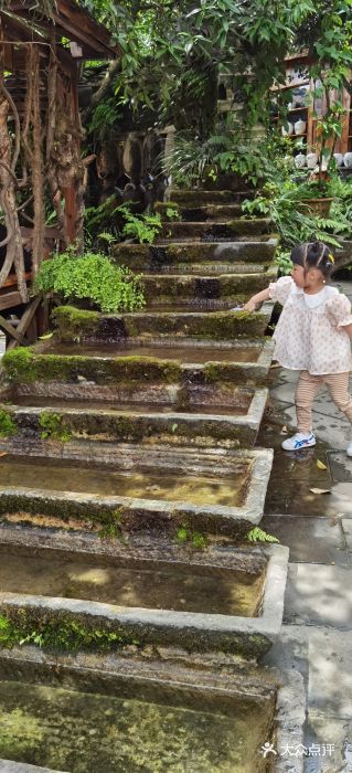 青城甲(青城山店)图片