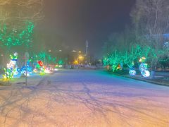 -沈阳奥体冰雪嘉年华