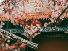 -禹城市禹王亭博物馆