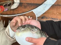 -永安鱼庄·镇江菜(丁卯店)