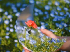 -上海滨江森林公园