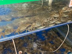 -阳澄湖大闸蟹·琼灵阁牌品牌连锁(吴中总店)
