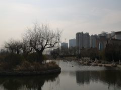 -丁家河公园