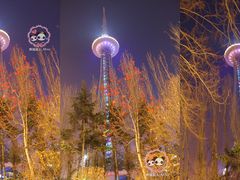 -龙塔