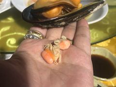 -胖大嫂渔家排档·全海景餐厅(渔村店)