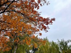 -元大都城垣遗址公园