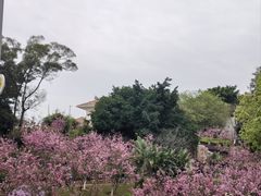 -狐尾山公园