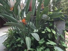 -扬州中集格兰云天大酒店