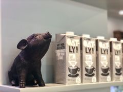 -WHEN PIGS FLY当猪飞