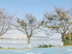 -团城山公园