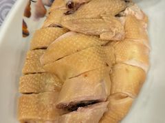 真味白切鸡-粤·向群饭店(龙津东路总店)