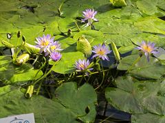 -国家植物园南园