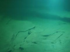 -白鹤梁水下博物馆