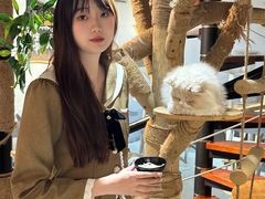 -豆逗聊愈猫阁Easy Life