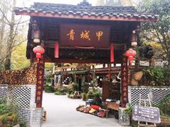 -青城甲(青城山店)