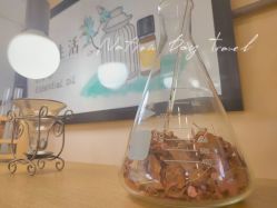 -CAMENAE嘉媚乐