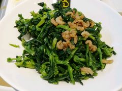 凉拌万年青-一品小笼(金融街店)