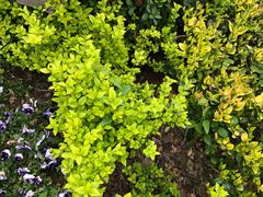 -无锡市乌鹤山公墓办事处