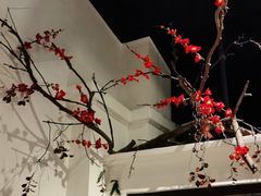 -春天来了(印象新天地店)