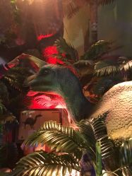 -恐龙探索乐园(磁器口店)