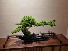 -紫阳海鲜楼·传承闽味(长乐路总店)
