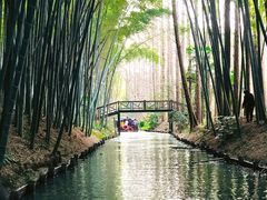 -同里国家湿地公园