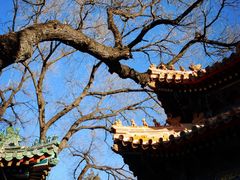 -贤良祠