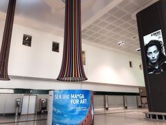 -米兰马尔彭萨国际机场