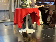 -EATALIA意塔利意式餐厅(鼓楼店)