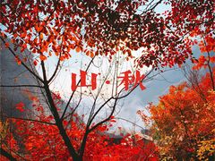 -周口店坡峰岭风景区