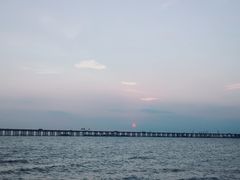 -红树湾(地铁站)