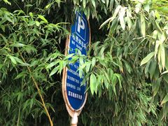 -紫竹院公园-东门停车场