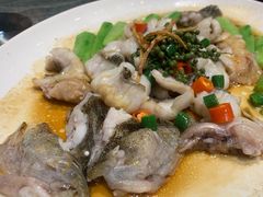 -猪肉婆私房菜(容桂总店)